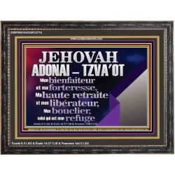 JEHOVAH ADONAI  TZVA'OT....Mon bienfaiteur et mon libérateur. Cadre biblique unique (GWFREFAVOUR12774) 