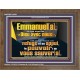 Emmanuel[a], ce qui signifie «Dieu avec nous». le pouvoir |de vous sauver[a]. Grand art mural scriptural encadré (GWFREF12638) 