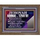 JEHOVAH ADONAI  TZVA'OT....Mon bienfaiteur et mon libérateur. Cadre biblique unique (GWFREF12774) 