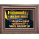 Emmanuel[a], ce qui signifie «Dieu avec nous». le pouvoir |de vous sauver[a]. Grand art mural scriptural encadré (GWFREMARVEL12638) 