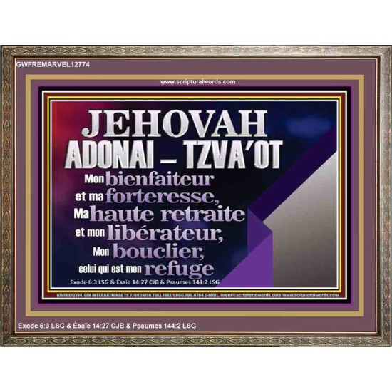 JEHOVAH ADONAI  TZVA'OT....Mon bienfaiteur et mon libérateur. Cadre biblique unique (GWFREMARVEL12774) 