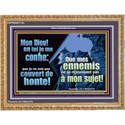 Mon Dieu! en toi je me confie: que je ne sois pas couvert de honte!  Décor de puissance ultime (GWFREMS11343) 