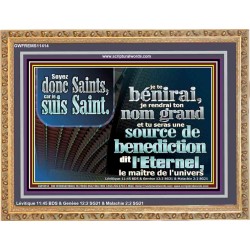 Soyez donc Saints, car je suis Saint.  Cadre acrylique d'église (GWFREMS11414) 