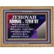 JEHOVAH ADONAI  TZVA'OT....Mon bienfaiteur et mon libérateur. Cadre biblique unique (GWFREMS12774) 