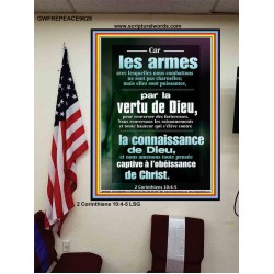 Car les armes avec lesquelles nous combattons ne sont pas charnelles;  Affiche murale du sanctuaire (GWFREPEACE9628) "12X14"