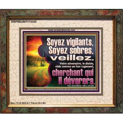 Soyez vigilants, Soyez sobres, veillez. Cadre de verset biblique (GWFREUNITY12555) 