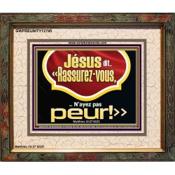 Jésus dit.. «Rassurez-vous,..N'ayez pas peur!» Cadre de versets bibliques en ligne (GWFREUNITY12795) 