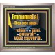Emmanuel[a], ce qui signifie «Dieu avec nous». le pouvoir |de vous sauver[a]. Grand art mural scriptural encadré (GWFREVICTOR12638) 