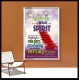 WALK IN THE SPIRIT   Large Framed Scripture Wall Art   (GWABIDE 1667)   