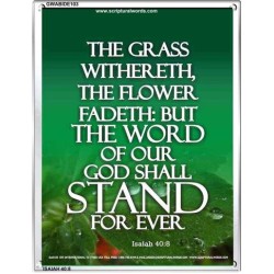 THE WORD OF GOD STAND FOREVER   Framed Scripture Art   (GWABIDE 103)   