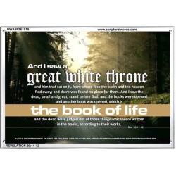 A GREAT WHITE THRONE   Inspirational Bible Verse Framed   (GWABIDE1515)   "24X16"