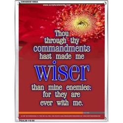 WISER THAN MINE ENEMIES   Scriptural Portrait Wooden Frame   (GWABIDE 1590A)   "16X24"