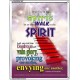 WALK IN THE SPIRIT   Large Framed Scripture Wall Art   (GWABIDE 1667)   