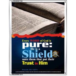 TRUST IN HIM   Scripture Art Frame   (GWABIDE 1763)   "16X24"