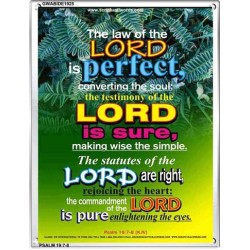 THE LAW OF THE LORD   Large Framed Scripture Wall Art   (GWABIDE 1925)   