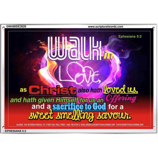 WALK IN CHRIST   Framed Scripture Dcor   (GWABIDE3620)   