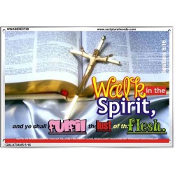 WALK IN THE SPIRIT   Framed Bible Verse   (GWABIDE3720)   "24X16"