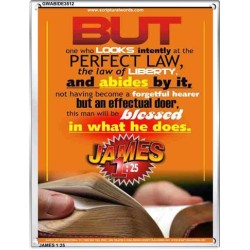 THE LAW OF LIBERTY   Bible Verses Frame Online   (GWABIDE 3812)   