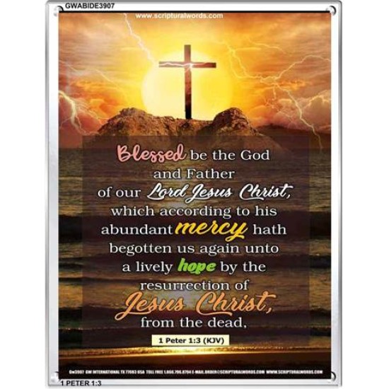 ABUNDANT MERCY   Christian Quote Framed   (GWABIDE 3907)   