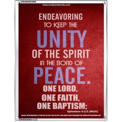 UNITY OF THE SPIRIT   Acrylic Glass Frame Scripture Art   (GWABIDE 3995)   "16X24"