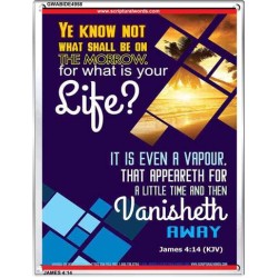 WHAT IS YOUR LIFE   Framed Bible Verses   (GWABIDE 4958)   "16X24"