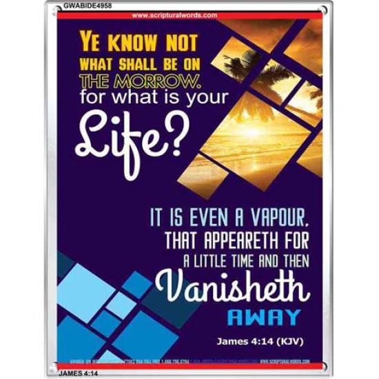 WHAT IS YOUR LIFE   Framed Bible Verses   (GWABIDE 4958)   