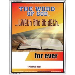 THE WORD OF GOD LIVETH AND ABIDETH   Framed Scripture Art   (GWABIDE 5045)   