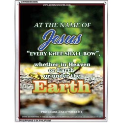 AT THE NAME OF JESUS   Framed Bible Verses   (GWABIDE 6400b)   