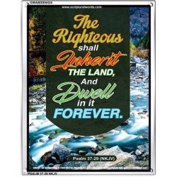 THE RIGHTEOUS SHALL INHERIT THE LAND   Contemporary Christian Poster   (GWABIDE 6524)   