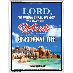 WORDS OF ETERNAL LIFE   Biblical Art Acrylic Glass Frame    (GWABIDE 6559)   "16X24"