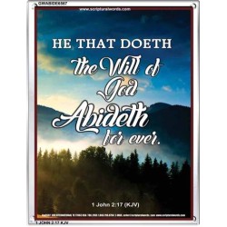 THE WILL OF GOD   Framed Picture   (GWABIDE 6567)   