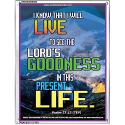 THE LORD'S GOODNESS   Framed Bible Verses   (GWABIDE 6665)   