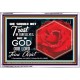 TRUST IN GOD   Framed Office Wall Decoration   (GWABIDE6687)   