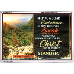 A CLEAR CONSCIENCE   Scripture Frame Signs   (GWABIDE6734)   