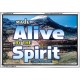 ALIVE BY THE SPIRIT   Framed Guest Room Wall Decoration   (GWABIDE6736)   