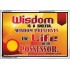 WISDOM   Framed Bible Verse   (GWABIDE6782)   "24X16"