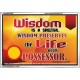 WISDOM   Framed Bible Verse   (GWABIDE6782)   