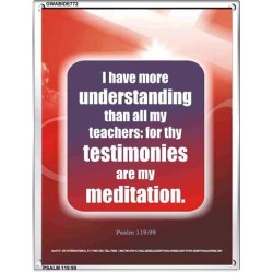 UNDERSTANDING   Contemporary Christian Poster   (GWABIDE 772)   "16X24"