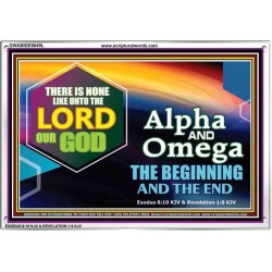 ALPHA AND OMEGA   Christian Quotes Framed   (GWABIDE8649L)   
