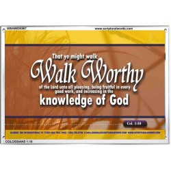 WALK WORTHY   Encouraging Bible Verses Framed   (GWABIDE867)   "24X16"