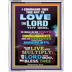 THE LORD THY GOD SHALL BLESS THEE   Bible Verse Frame   (GWABIDE 8728)   