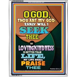YOUR LOVING KINDNESS IS BETTER THAN LIFE   Biblical Paintings Acrylic Glass Frame   (GWABIDE 9239)   "16X24"