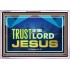 TRUST IN THE LORD JESUS   Scripture Framed    (GWABIDE9314)   "24X16"