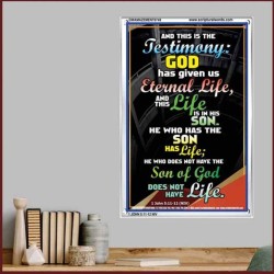 THE TESTIMONY GOD HAS GIVEN US   Christian Framed Wall Art   (GWAMAZEMENT6749)   