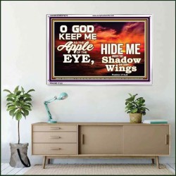 UNDER THE SHADOW OF THY WINGS   Frame Scriptural Wall Art   (GWAMAZEMENT8275)   "24X32"