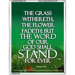 THE WORD OF GOD STAND FOREVER   Framed Scripture Art   (GWAMAZEMENT103)   