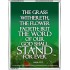 THE WORD OF GOD STAND FOREVER   Framed Scripture Art   (GWAMAZEMENT103)   "24X32"