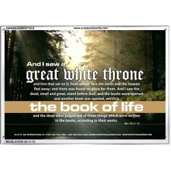 A GREAT WHITE THRONE   Inspirational Bible Verse Framed   (GWAMAZEMENT1515)   "24X32"