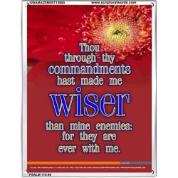 WISER THAN MINE ENEMIES   Scriptural Portrait Wooden Frame   (GWAMAZEMENT1590A)   "24X32"