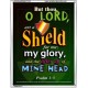 A SHIELD FOR ME   Bible Verses For the Kids Frame    (GWAMAZEMENT1752)   